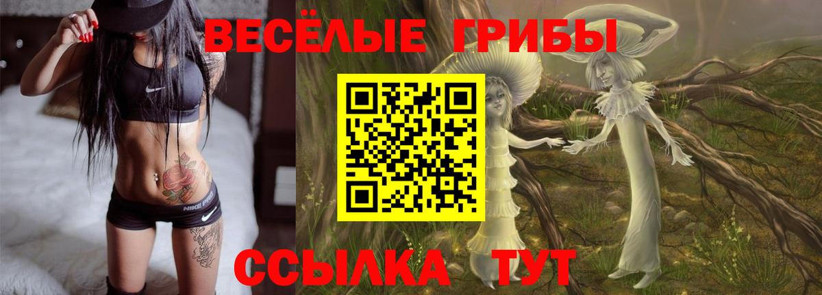 Псилоцибиновые грибы прущие грибы Волгодонск